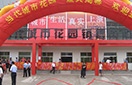 xc sports(中国区)-官方网站