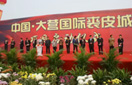 xc sports(中国区)-官方网站