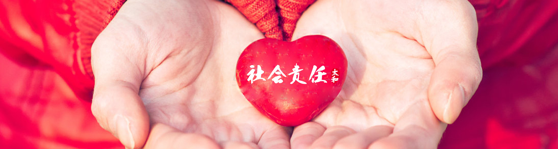 xc sports(中国区)-官方网站